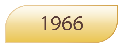 1966